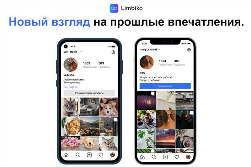 Обзор российских аналогов Инстаграма и их возможности для бизнеса