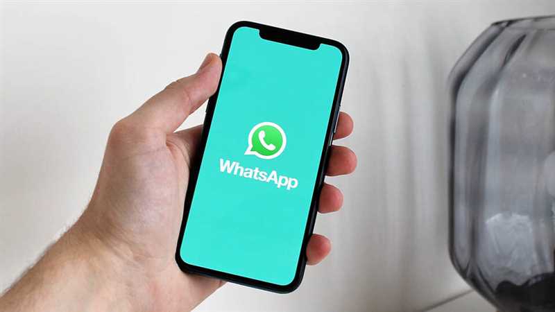 Тренды и перспективы развития WhatsApp в бизнесе к 2024 году
